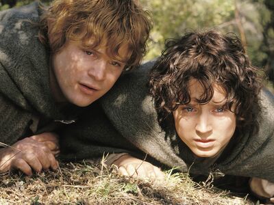 Hobbits Frodo and Sam hide in the woods.