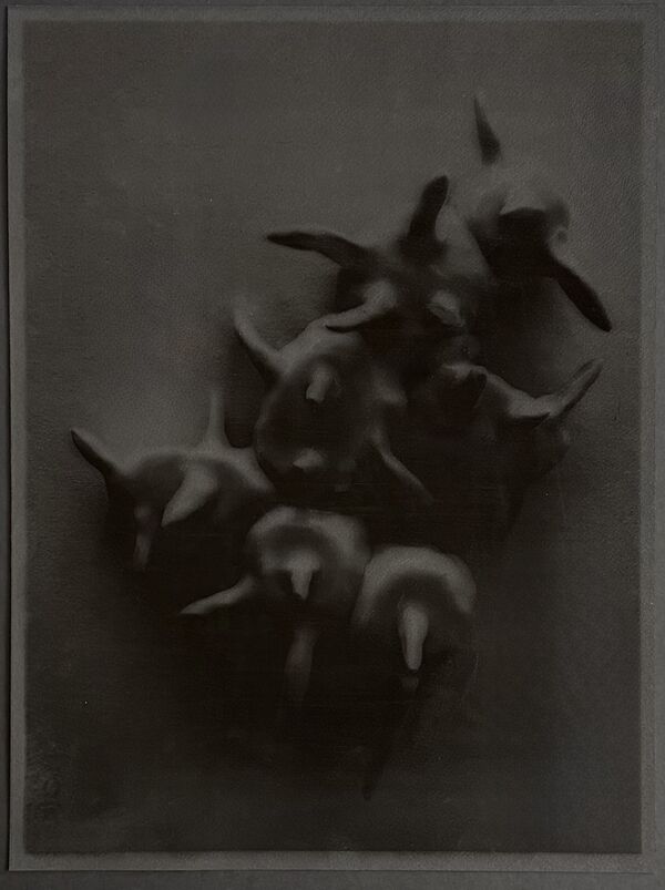 Abstract print