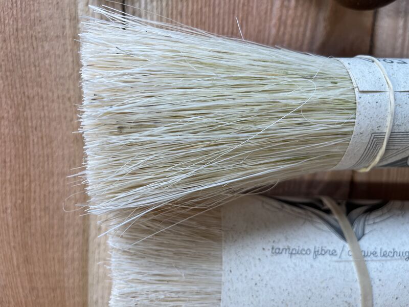 Close up of white brush bristles