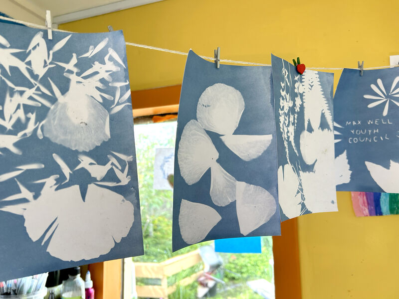 Cyanotype prints hanging up to dry
