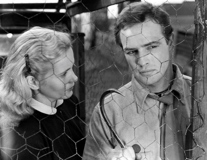 A woman looks at a man. The image is taken from behind a wire fence. 