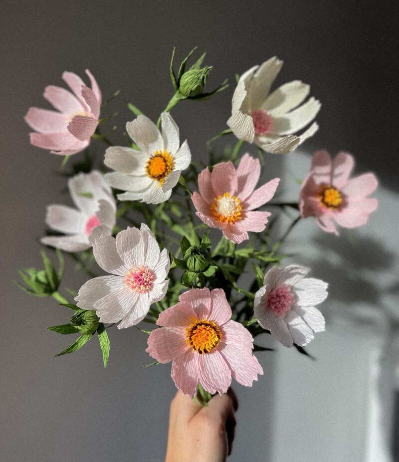 Bunch of paper cosmos flowers in pink and white