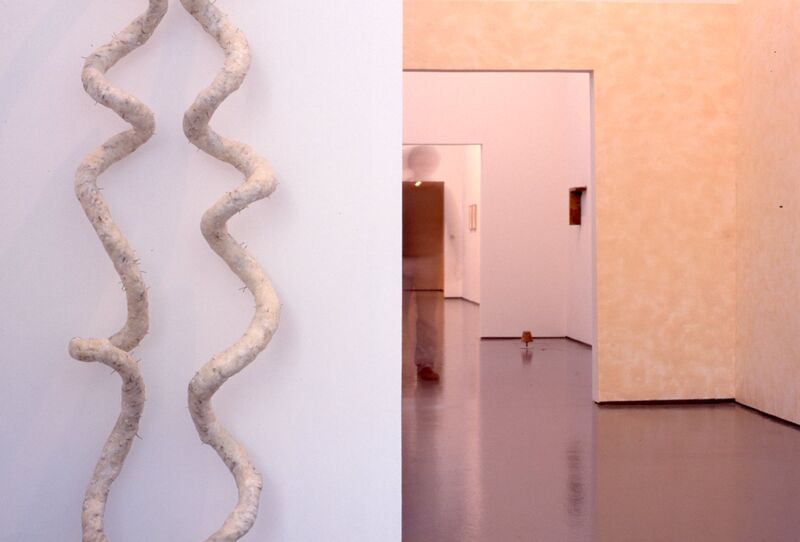 A white, clay, spiral structure hangs from a white gallery wall.