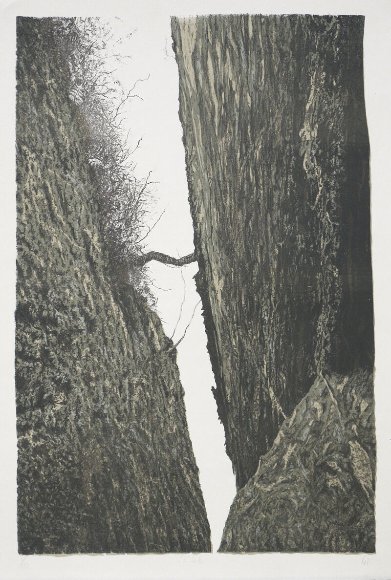 Print of rocky cliff faces and a branch connecting them