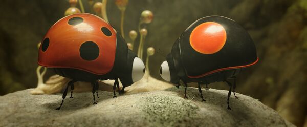 Animation still: Two ladybirds face each other