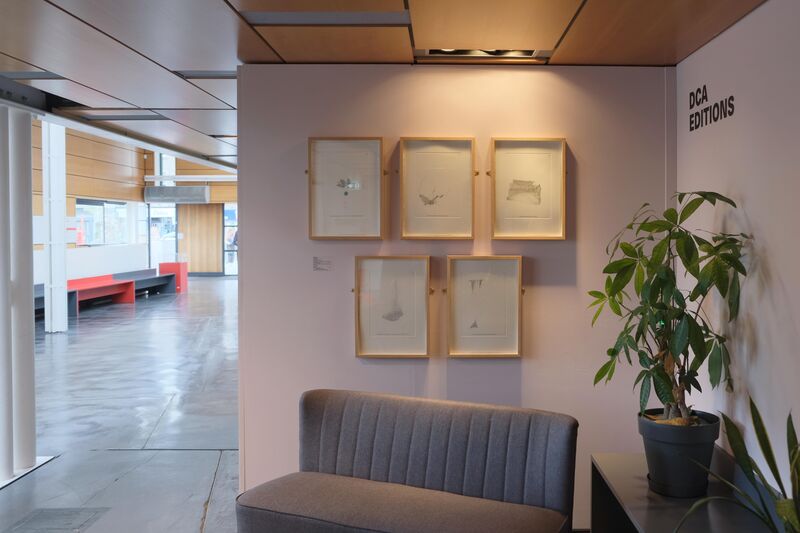 A pink wall with framed prints on it