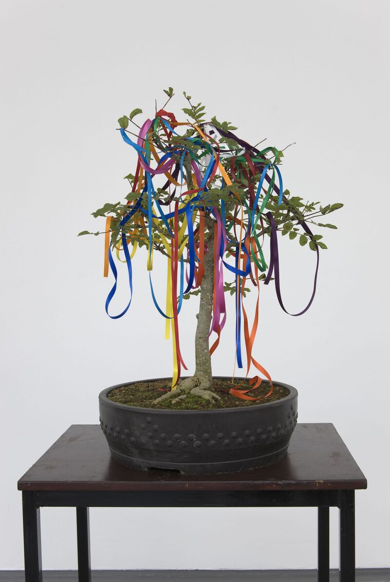 From Ruth Ewan's exhibition. A small, potted plant that look like a bonsai tree is covered in colourful string.