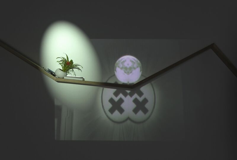 From Torsten Lauschmann's exhibition in DCA. A houseplant sits on a shelf with a spotlight on it. In the background, there is a projected, symmetrical image of a purple globe, with an oval with black x's behind it.