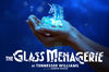 The Glass Menagerie poster