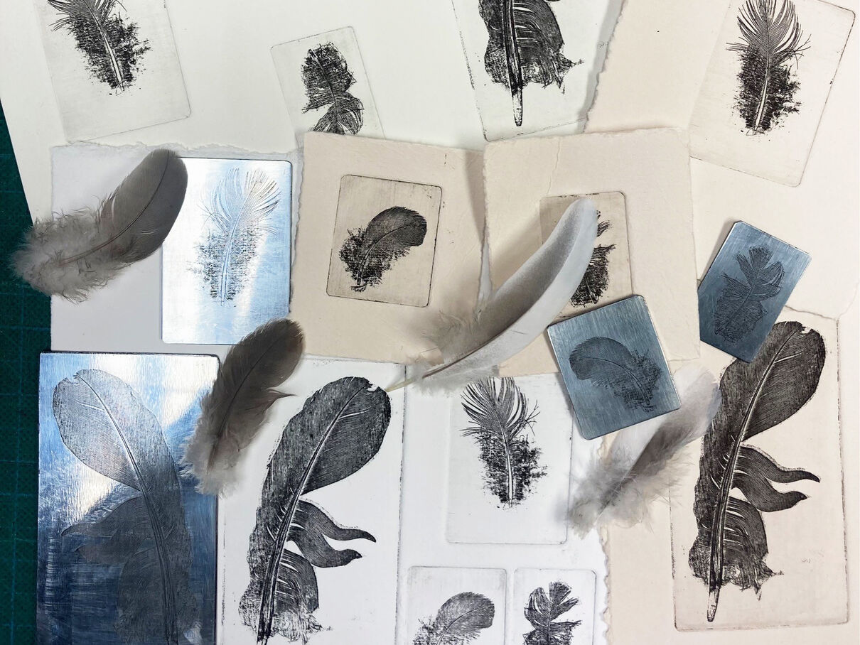 Seelction of etching plates and prints featuring feathers