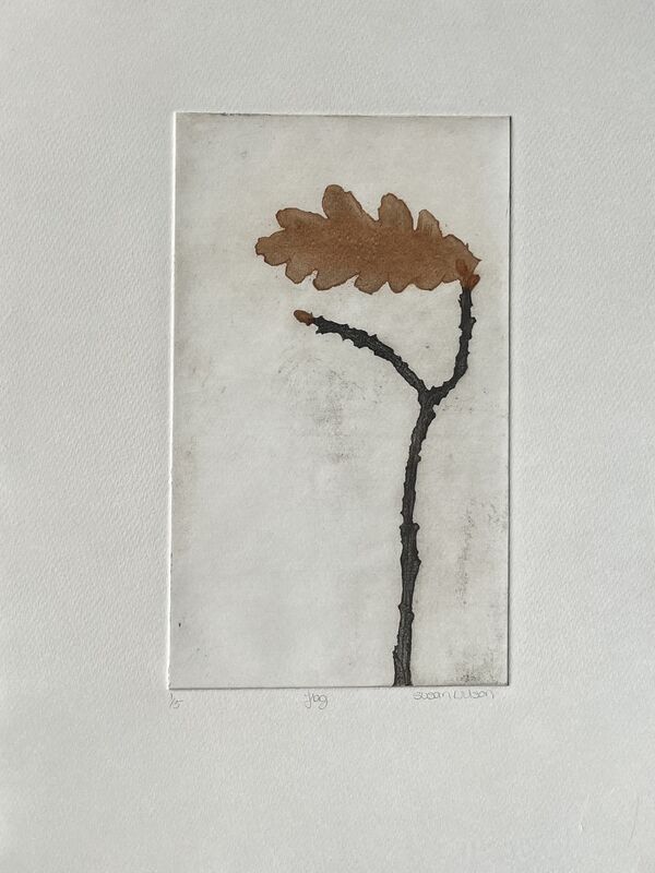 Print of a leaf on a branch