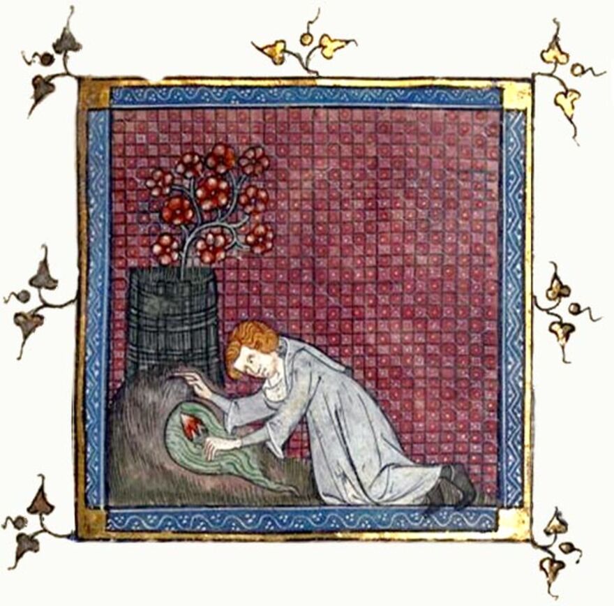 a medieval style image of a figure lying down holding a rose lying down