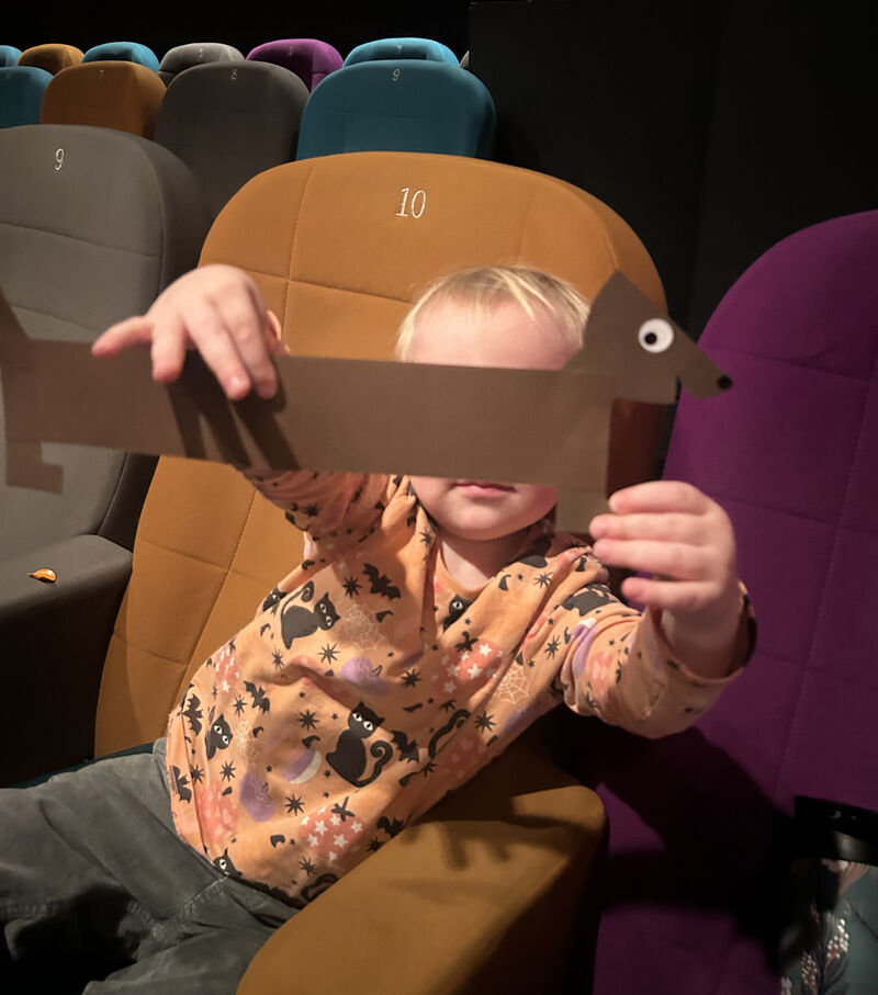 A child sitting a cinema seat holds a paper sausage dog over his face 
