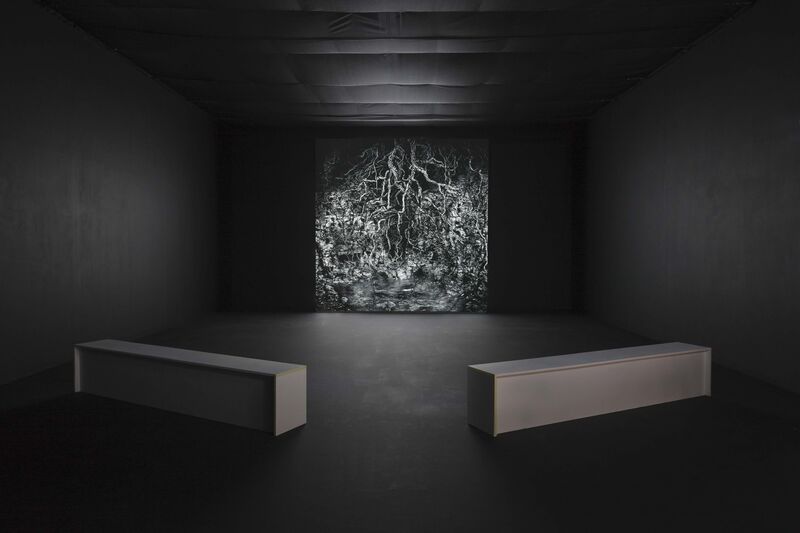 Two benches in DCA Galleries face a work which is part of IC-98's exhibition. A projection shows a black-and-white image of some tangled, thorny undergrowth.