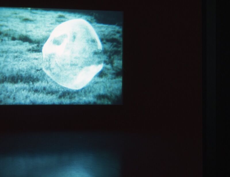 A projected image of a bubble floating on grass