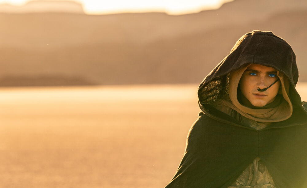 Timothée Chalamet wearing a cloak and standing in the desert in Dune: Part Two.