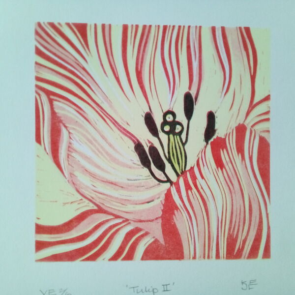 Print of the centre of a tulip flower