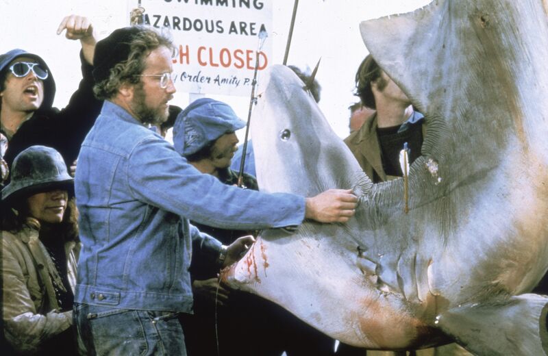 A man examines a dead shark. 