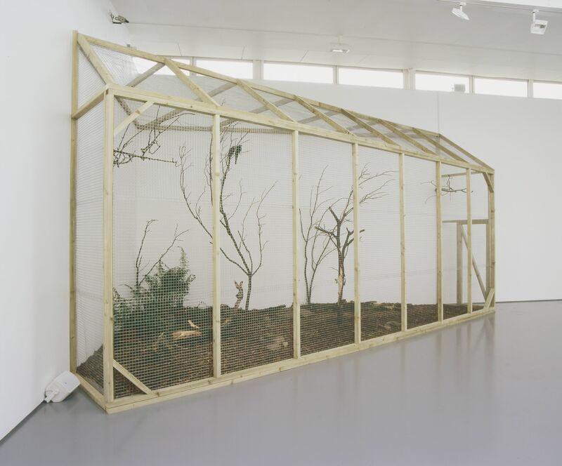 From Where The Wild Things Are at DCA Galleries. An enclosure made out of wood. Inside, there are trees, bark and two birds sitting on the trees.