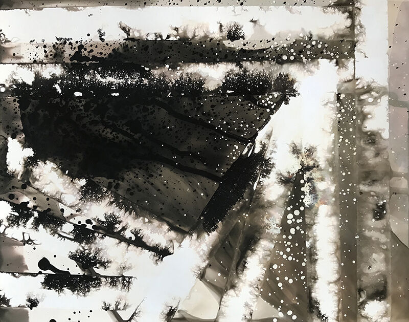 Abstract black and white chemigram