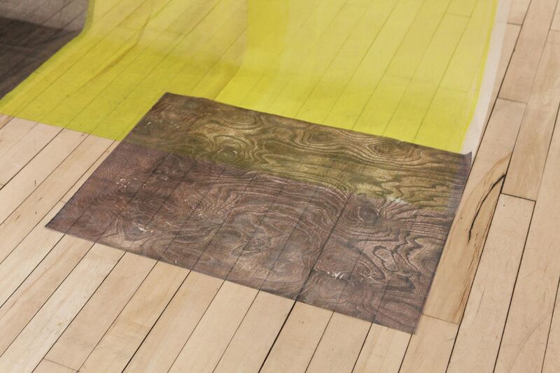 detail of a print on a floor, the image looks textured like wood