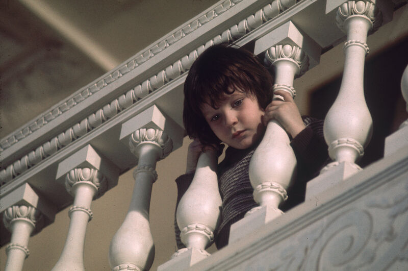 Child looking through teh slats of a hand rail
