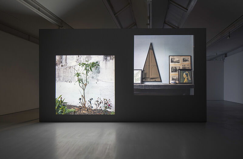 Stills from Stuart Whipp's exhibition shows a photograph of old paintings on the wall, and a photograph of a small tree.