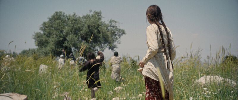 Children walk through a field of tall grass together