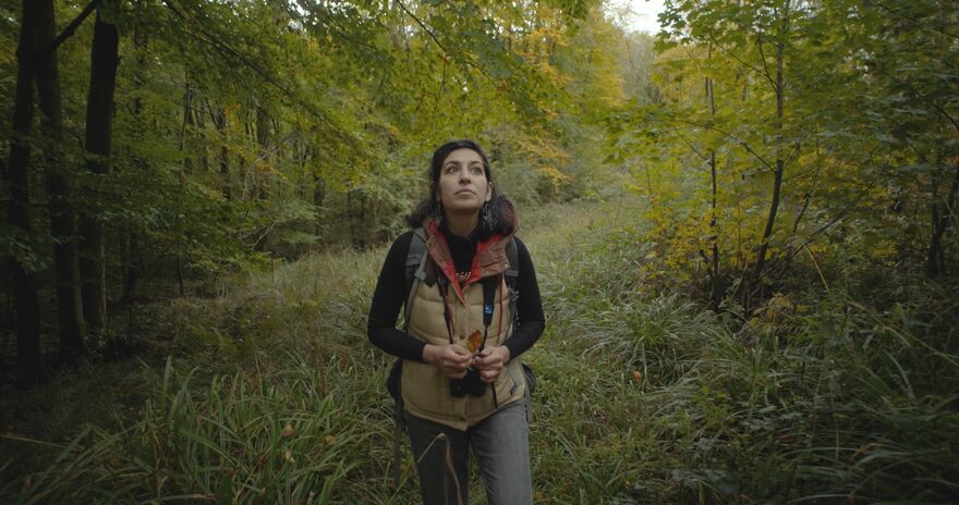 A female walker in the woods