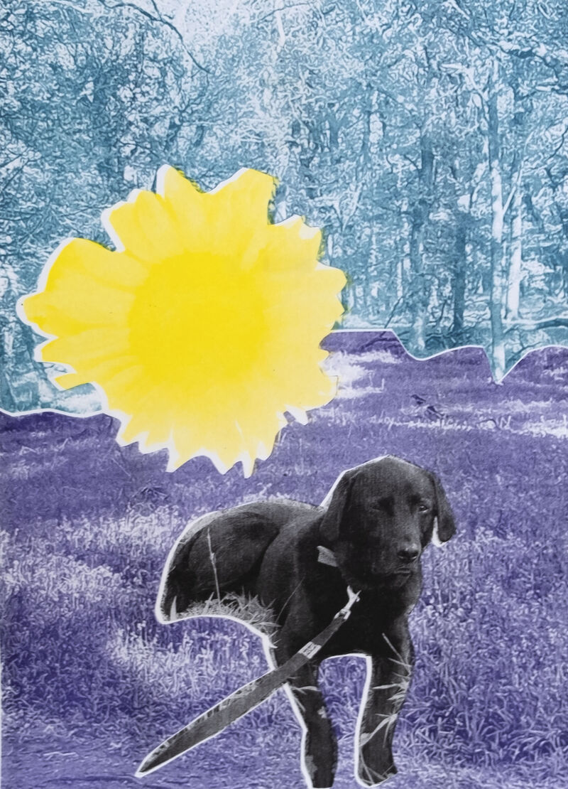 Print o a dog in the woods with a ginat yellow flower