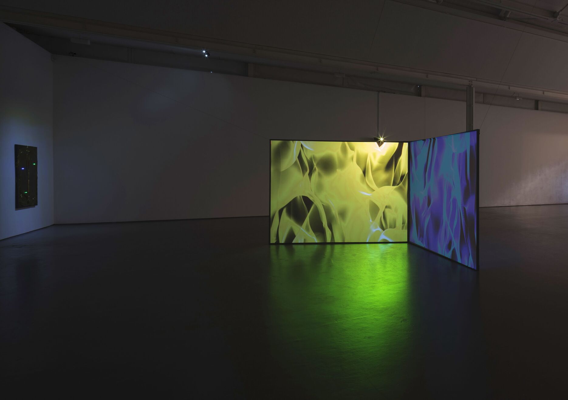 From Florian & Michael Quistrebert's exhibition. Two large screens show abstract patterns in yellow and blue.