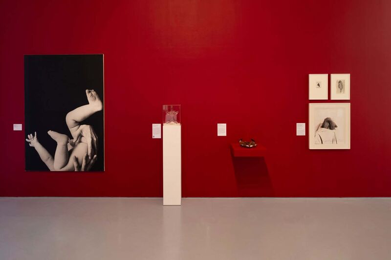 A red gallery wall large image of chubby baby legs and other images on the wall 
