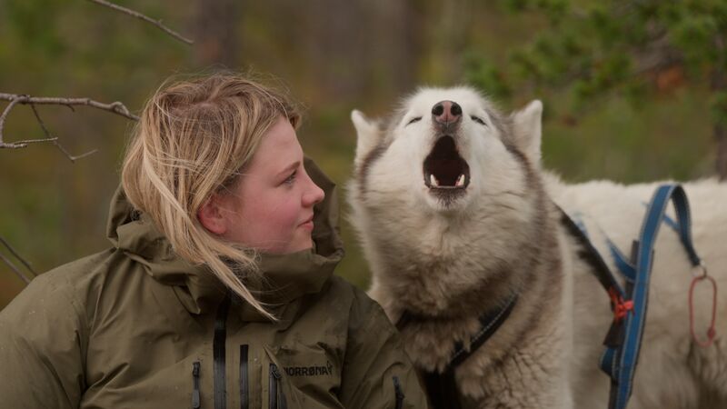 A fluffy white husky howls while a young woman looks at it