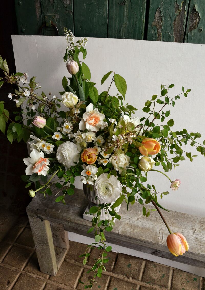 Display of white and orange flowers with green foliage