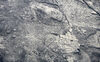 02.12 blue, stone lithograph on fabriano,112 x 76cm