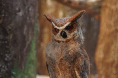 A stern owl