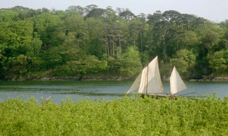 A yacht sails down a riverbank, flanked by green trees