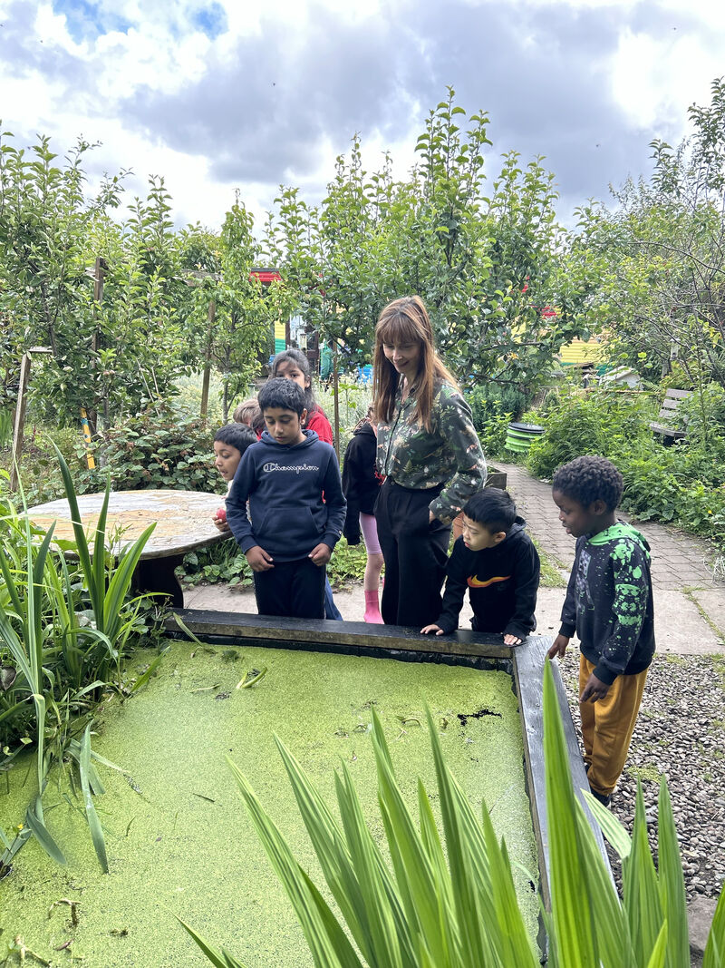 Group of children and DCA artist looking at a pond at The Maxwell Centre Community Garden