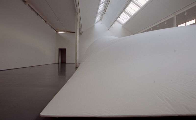 From Grönlund\Nisunen's exhibition in DCA.  A huge, white, curved shape fills the gallery, almost to the height of the ceiling.