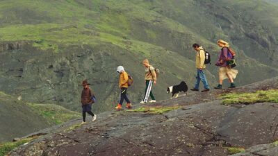 A family and a dog walk down a hill in windy weather
