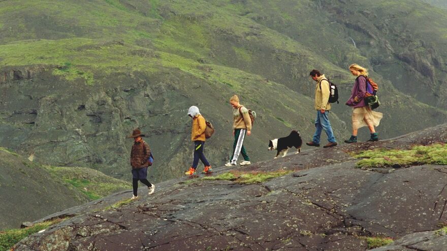 A family and a dog walk down a hill in windy weather