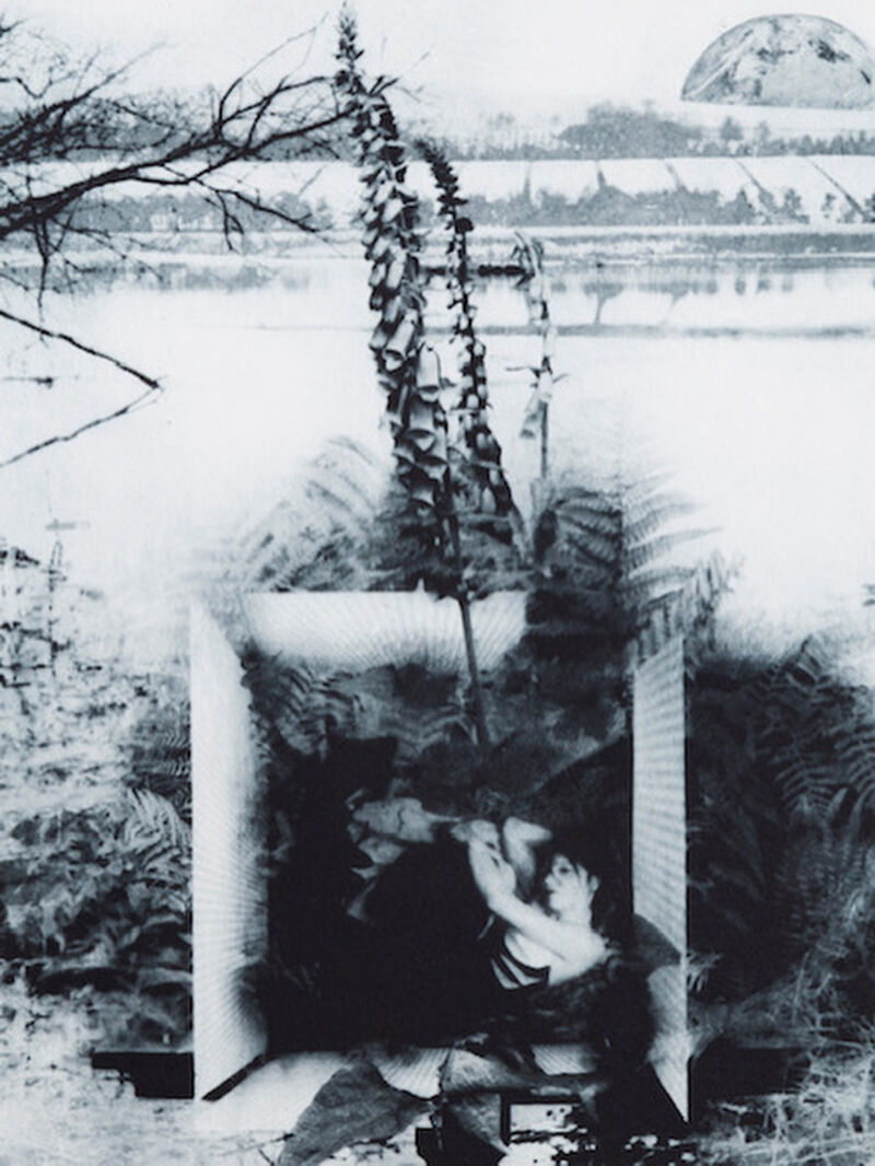 Collaged print of landscape, figure and plants